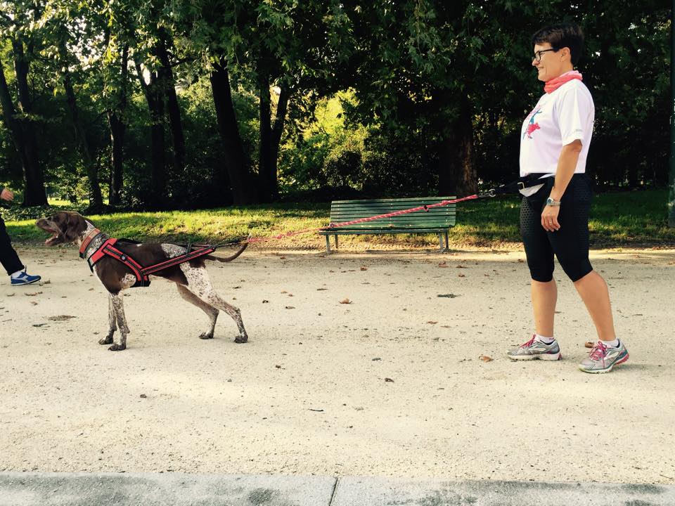 Correre con il cane