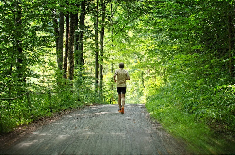 Ultramaratona bosco Ultramaratona bosco